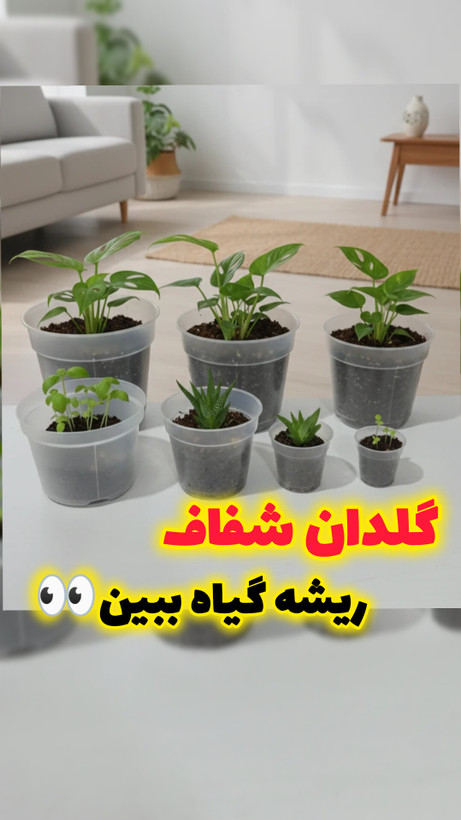 گلدان پلاستیکی مدل شفاف بی رنگ ارکیده