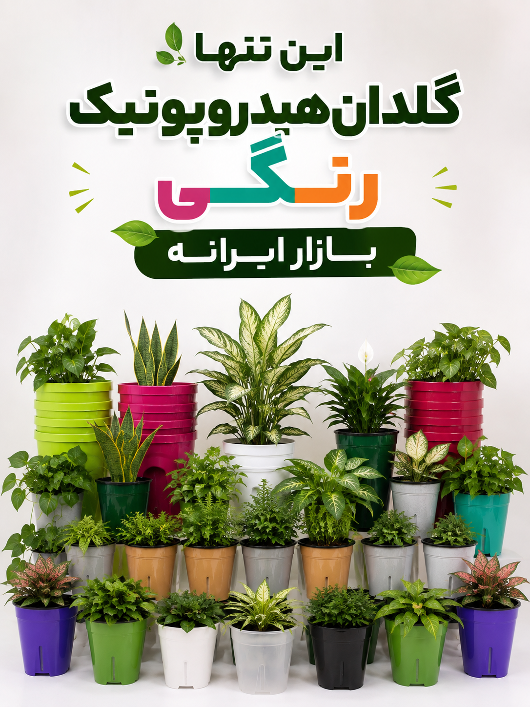گلدان هیدروپونیک رنگی